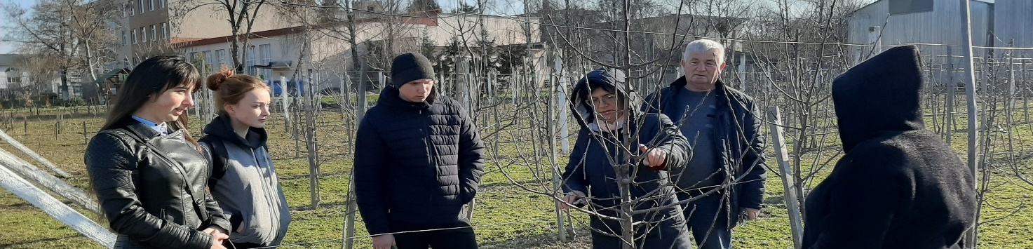 Вивчення сучасних методів формування та обрізування крони дерев у інтенсивних насадженнях яблуні на практичних заняттях з дисципліни «Плодівництво»